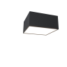 Потолочный светильник MAYTONI ZON C067CL-L12B4K
